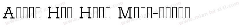 Aktiv Hei Hans Medi字体转换